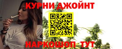 a pvp Камышлов