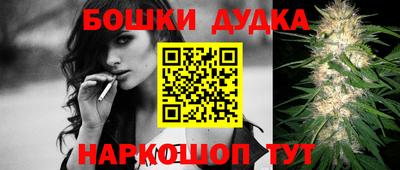 a pvp Камышлов
