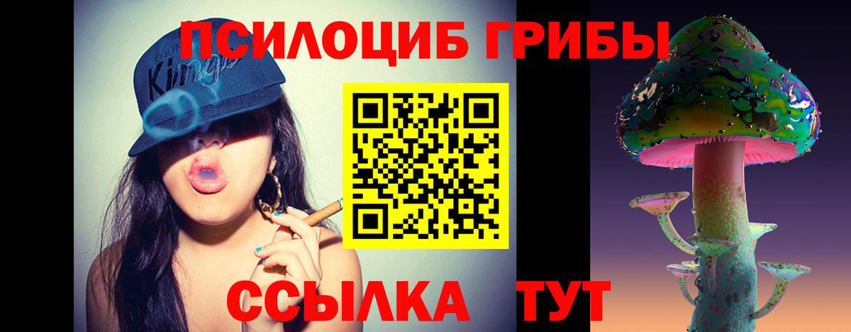 Псилоцибиновые грибы Psilocybine cubensis Хасавюрт